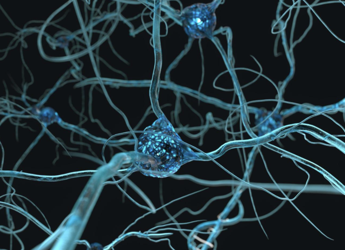 Interactive Gene Expression Atlas project preview